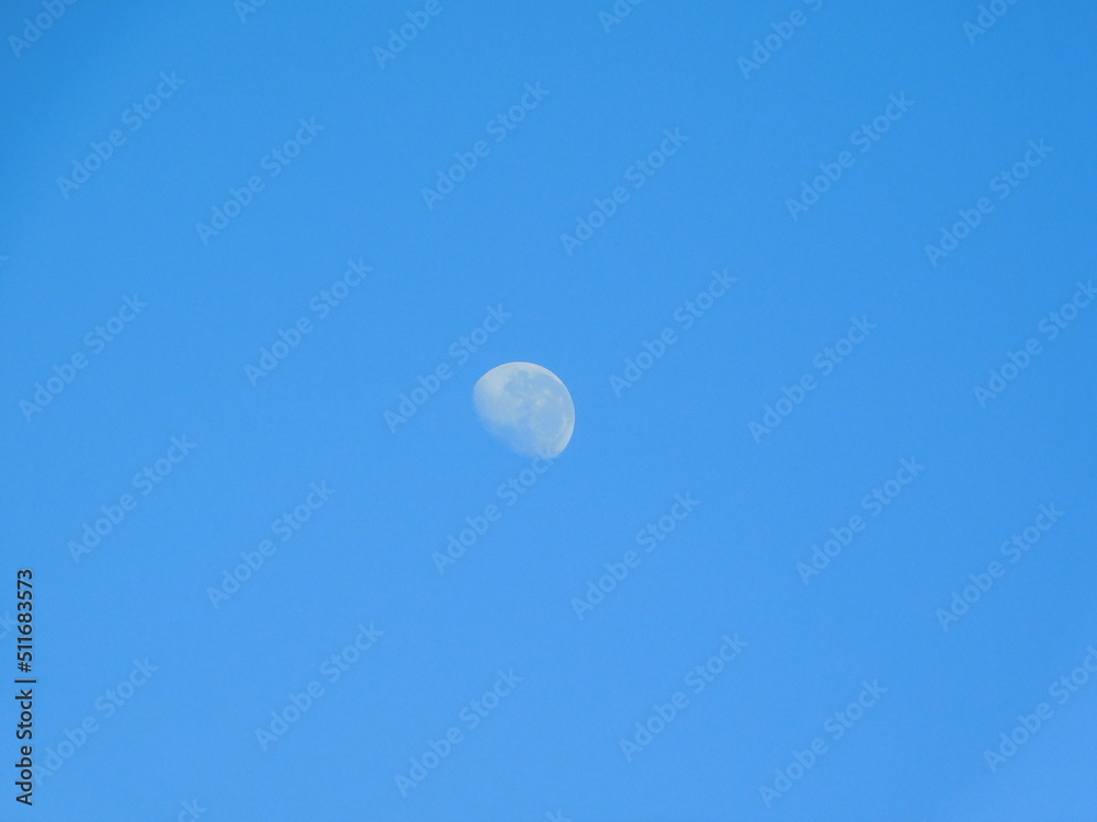 Spectacular photograph of a quarter moon in a crystal clear bright blue sky Spectacular photograph of a quarter moon in a crystal clear bright blue sky