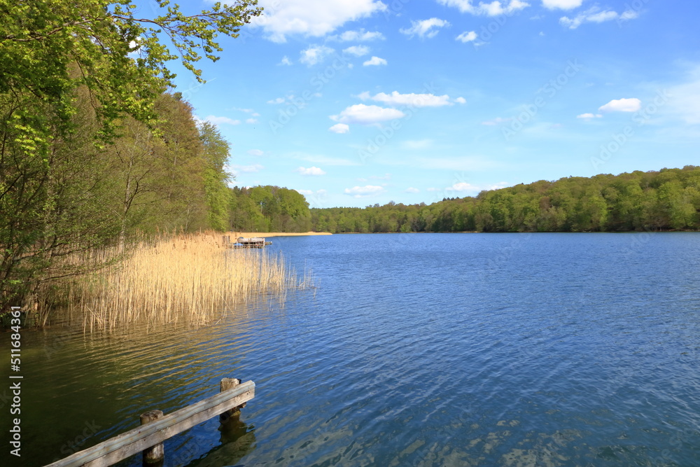 lake Liepnitzsee near Wandlitz in Brandenburg in spring, Germany