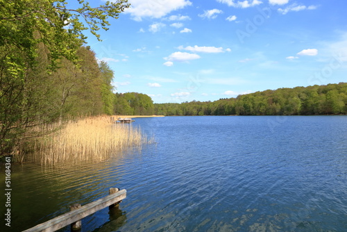 lake Liepnitzsee near Wandlitz in Brandenburg in spring, Germany