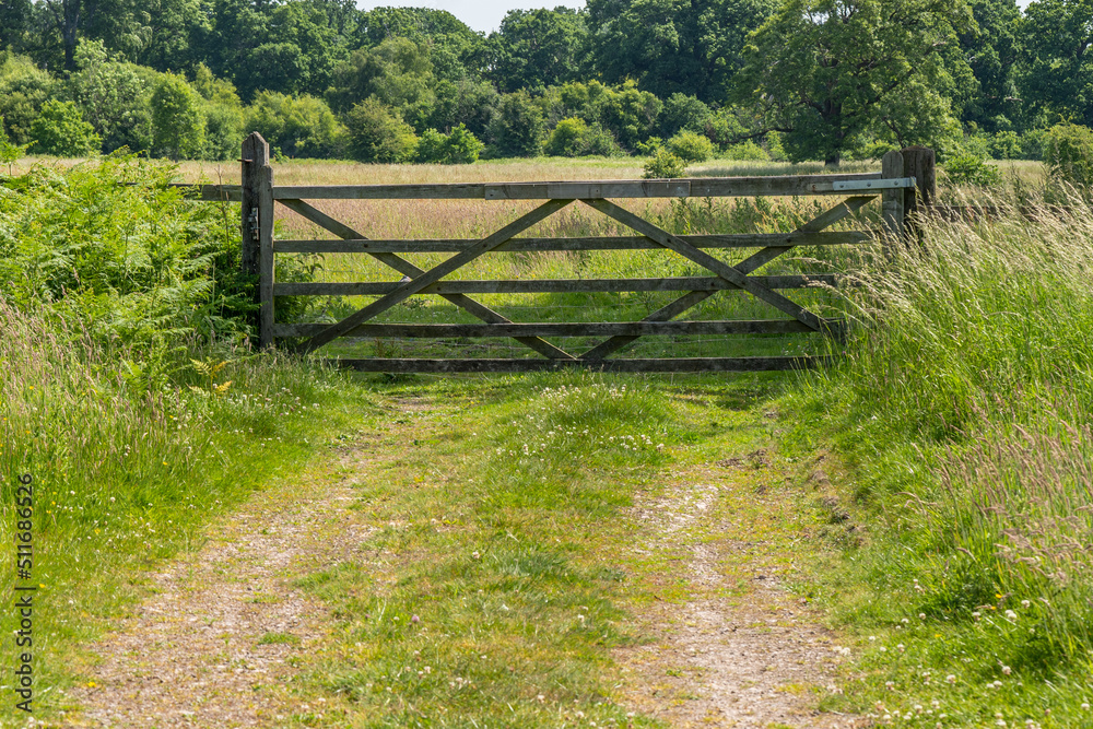 A country gate in England on a summers day