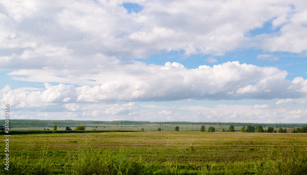 A field with trees and poles and driving cars against a cloudy landscape in summer A field with trees and poles and driving cars against a cloudy landscape in summer