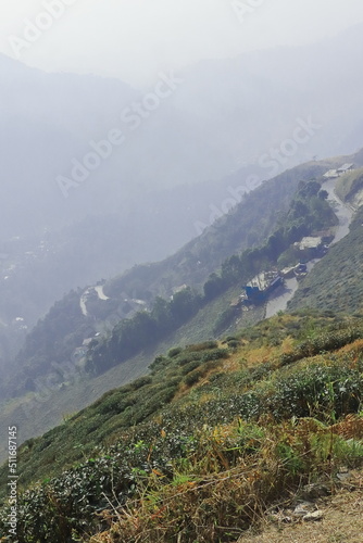 tea garden and mountain zigzag road of kurseong near darjeeling in west bengal in india
