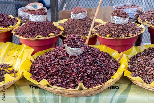 Fresh fried and salted grasshoppers from Oaxaca (translation: chapulines) displayed on a table