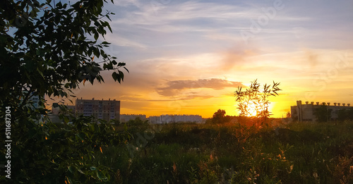 The evening sun at sunset illuminates a country field and plants against the backdrop of residential multi-storey buildings
