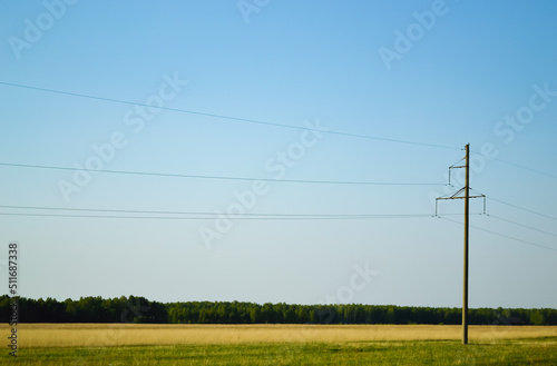 Wires and a pole of a power line against the background of a strip of forest and a clear sky