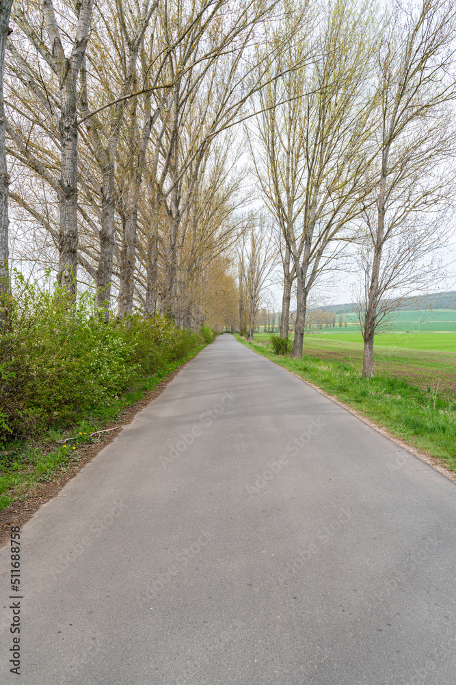 road in the countryside