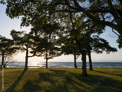 Lake at sunset, backlight at dusk powerfully illuminating the trees