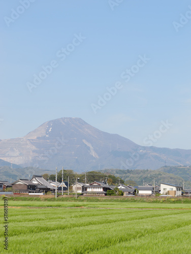 Mt. Ibuki seen across the field on a clear spring day. фототапет