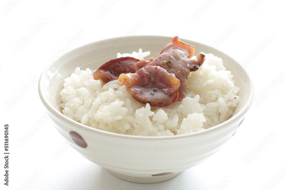 Canned food, chicken gizzards and rice with copy space Canned food, chicken gizzards and rice with copy space