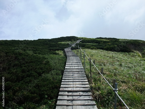 Wallpaper Mural 鳥取県　大山の登山道の風景 Torontodigital.ca
