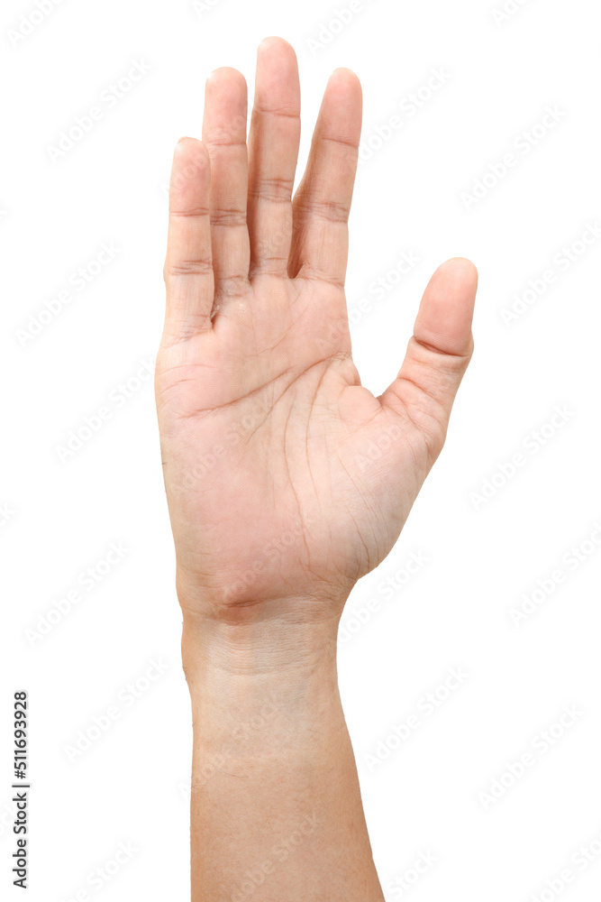 Male asian hand gestures isolated over the white background. Male asian hand gestures isolated over the white background.