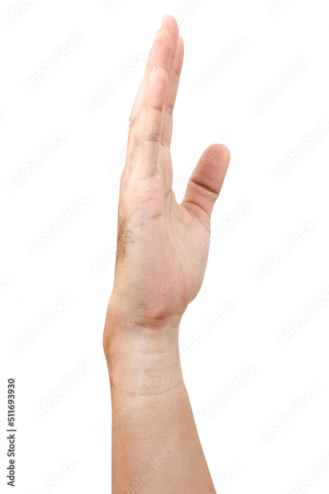 © aekkorn - Male asian hand gestures isolated over the white background. © aekkorn - Male asian hand gestures isolated over the white background.