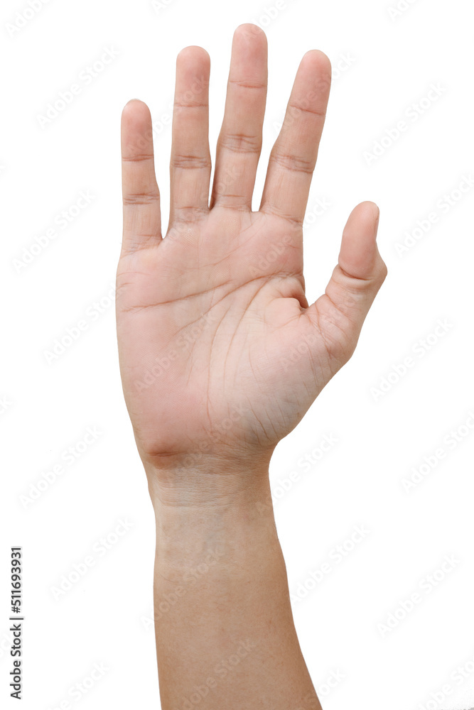 Male asian hand gestures isolated over the white background. Male asian hand gestures isolated over the white background.