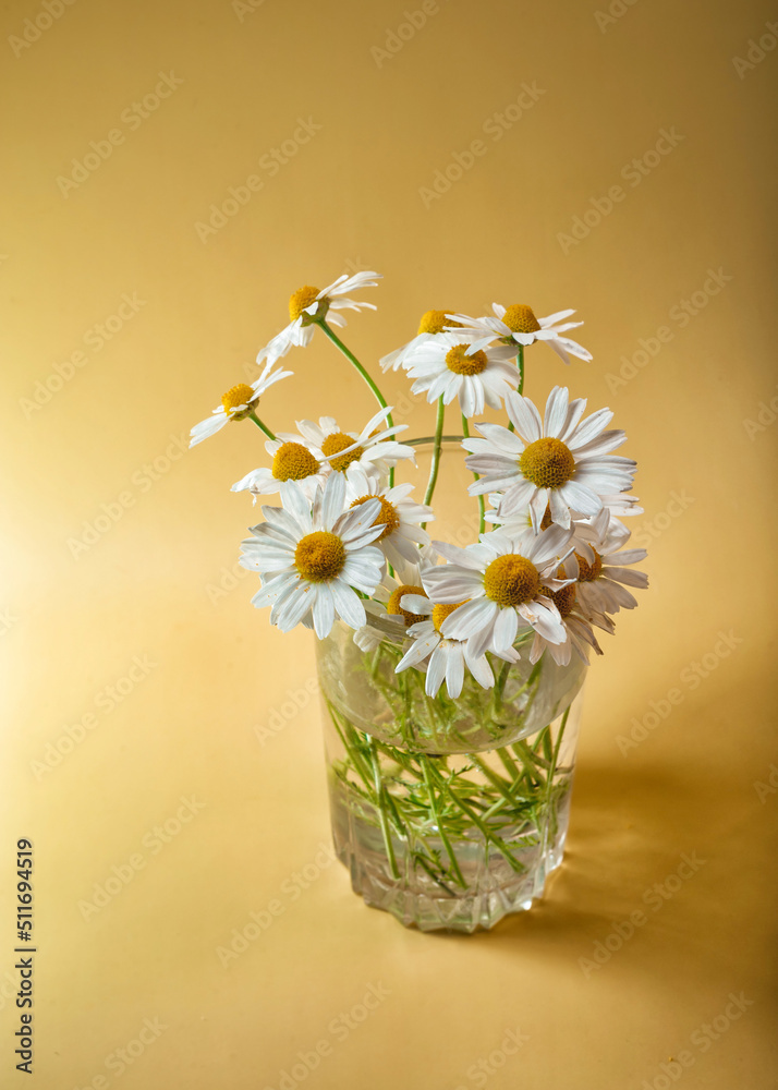 a small bouquet of fresh tender field daisies in a glass beaker with water on a yellow background