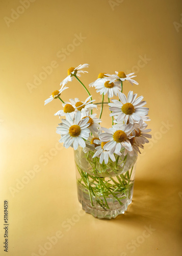 a small bouquet of fresh tender field daisies in a glass beaker with water on a yellow background