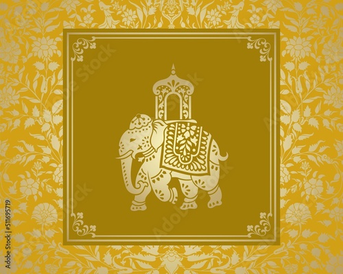 Elephant, festival , Jaipur, Royal Rajasthan, India, Asia	