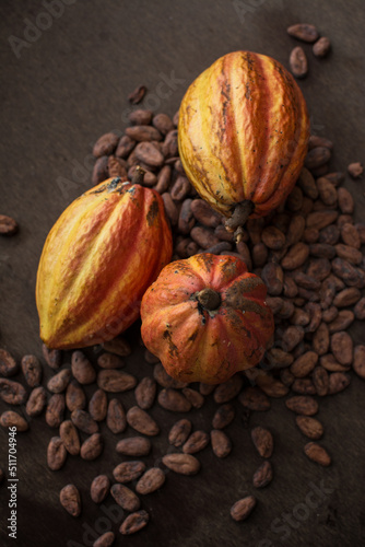 Cocoa pods. Yellow and orange cocoas. Cocoa beans. Trinitarian and Criollo Cocoa