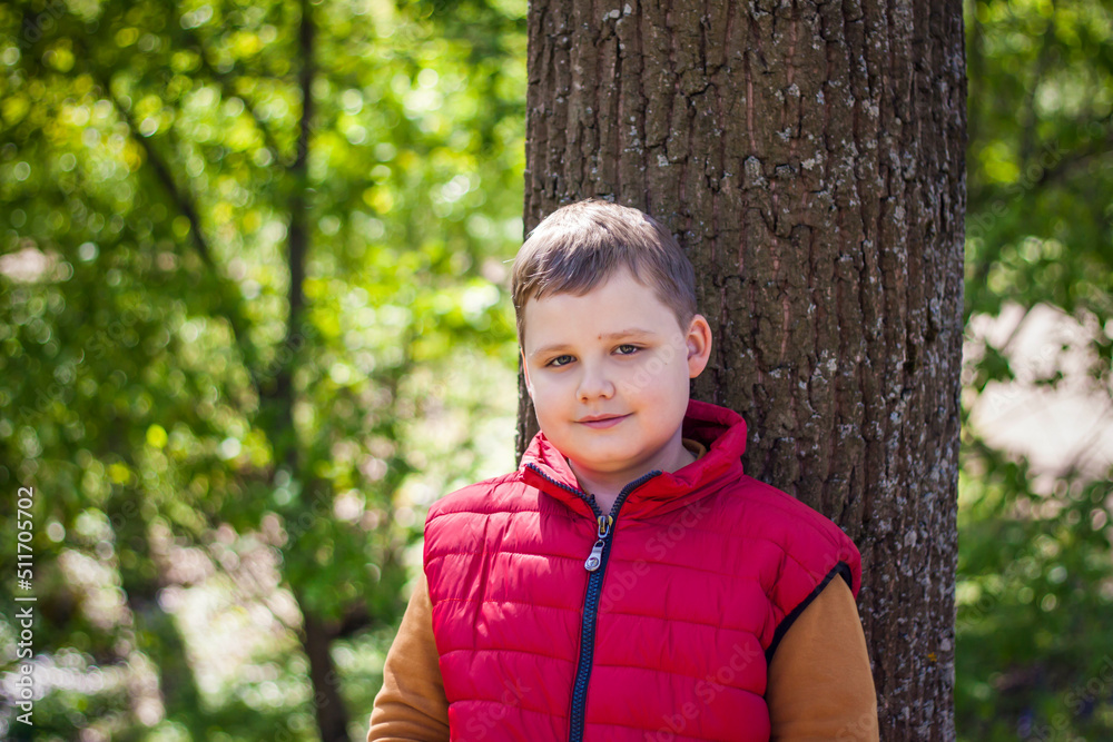 Portrait of a boy in the forest in spring. Take a walk in the green park in the fresh air. The magical light from the sun's rays is left behind. Space for copying. Selective focus. Portrait of a boy in the forest in spring. Take a walk in the green park in the fresh air. The magical light from the sun's rays is left behind. Space for copying. Selective focus.