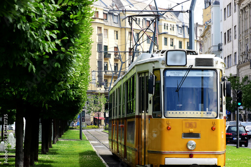 Streetscape in Budapest with yellow tram and lush green trees. summer scene. travel and tourism concept. residential buildings in the background
