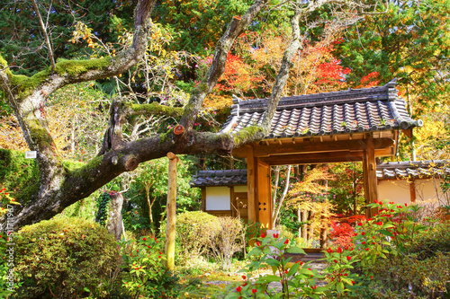京都亀岡　神蔵寺の紅葉 © パーシー