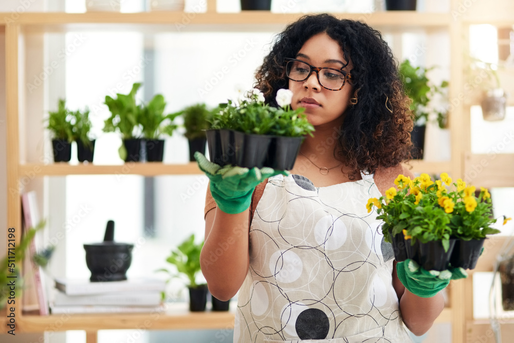 These are my two options. Cropped shot of an attractive young female botanist comparing two sets of plants while working in her florist. These are my two options. Cropped shot of an attractive young female botanist comparing two sets of plants while working in her florist.