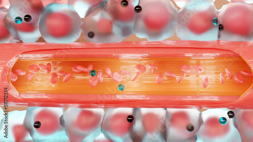 Anemic Hypoxia, hypoxic, stagnant, histotoxic, arterial pO2 and O2, arterio-venous shunts, Respiratory system, 3d render