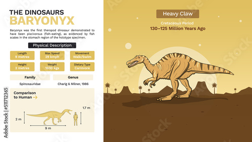Fototapeta Naklejka Na Ścianę i Meble -  Description and Physical Characteristics of Baryonyx-Vector Illustrations
