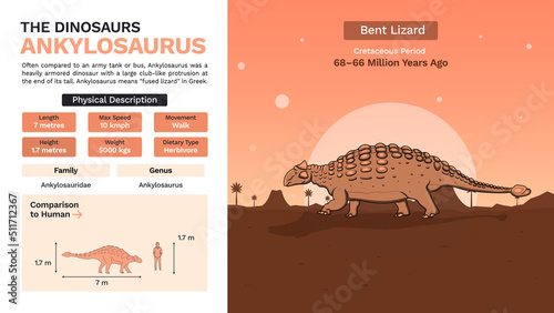Description and Physical Characteristics of Ankylosaurus-Vector Illustrations