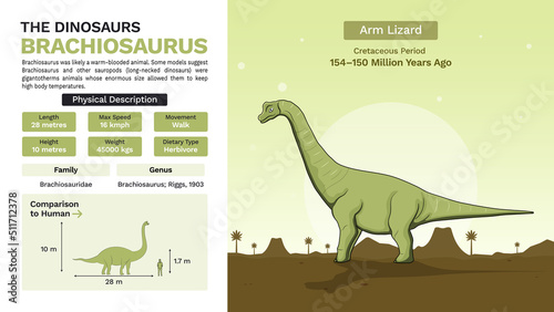 Description and Physical Characteristics of Brachiosaurus-Vector Illustrations