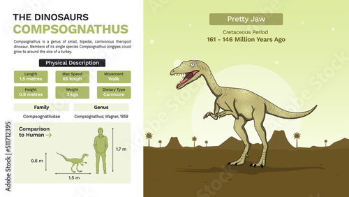 Description and Physical Characteristics of Compsognathus-Vector Illustrations