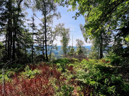 A trip to the table mountain landscape park in the Sudetes in Poland photo