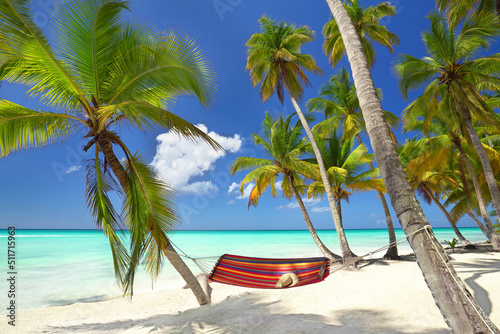 Fototapeta Naklejka Na Ścianę i Meble -  tropical island, perfect place for recreation in a hammock