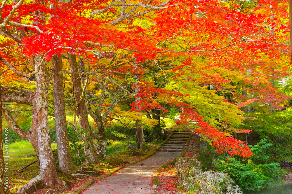 京都亀岡　龍穏寺の紅葉
