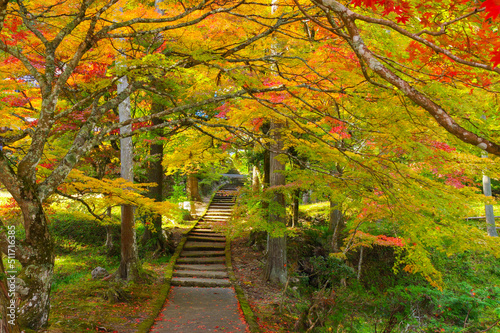 京都亀岡 龍穏寺の紅葉
