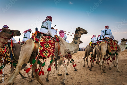 Desert safari camel ride in Abqaiq Eastern region Dammam Saudi Arabia. January 4th Year 2020 photo