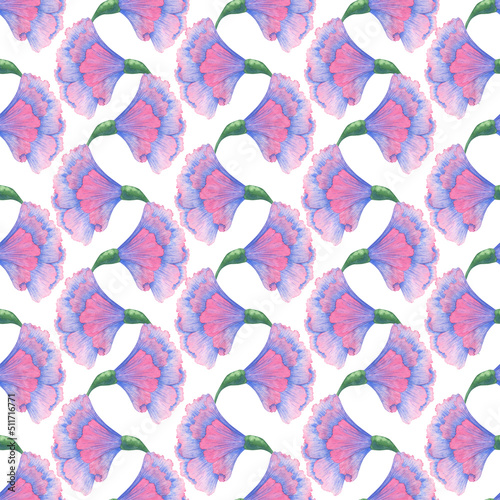 Pink carnation flowers. Watercolor seamless pattern. Pink buds with blue veins.