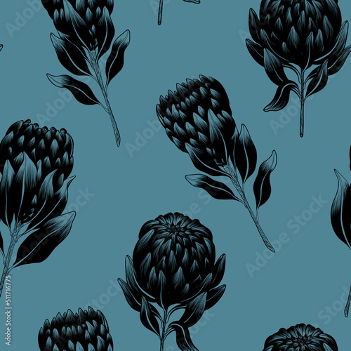 Graphic Protea Flowers. Monochrome seamless pattern on blue background. Floral exotic pattern.