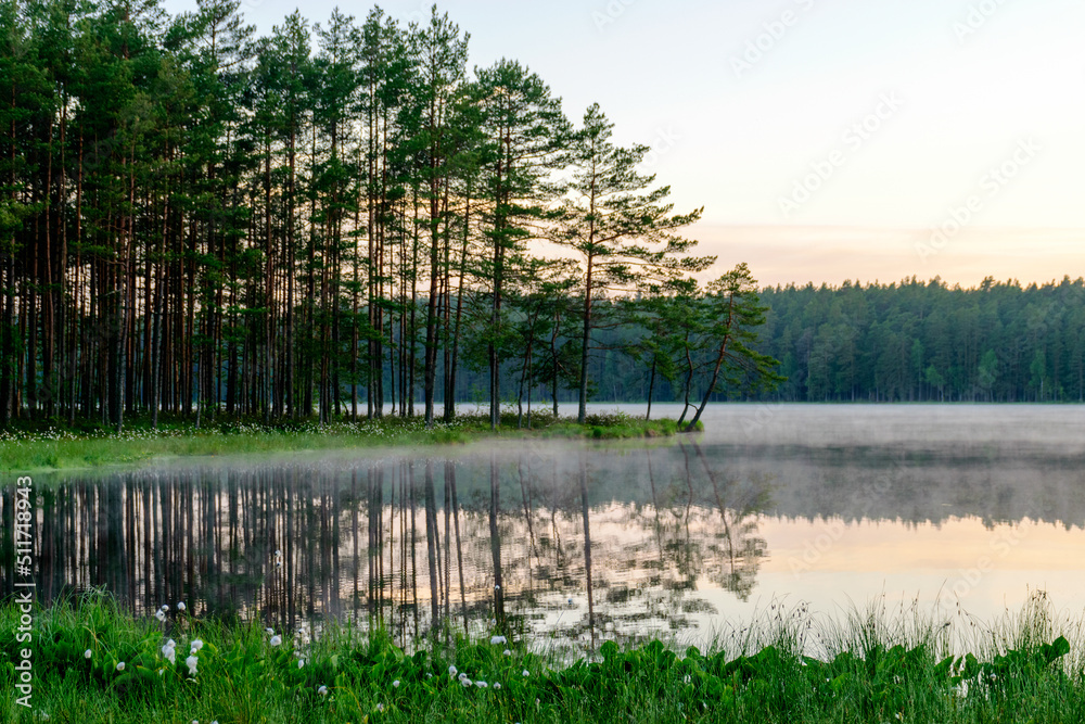 happy summer morning landscape by the lake, tree reflections in calm water, light fog on the water surface happy summer morning landscape by the lake, tree reflections in calm water, light fog on the water surface