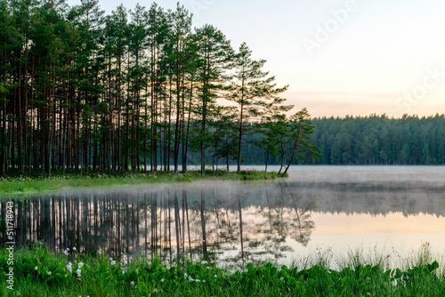 happy summer morning landscape by the lake, tree reflections in calm water, light fog on the water surface