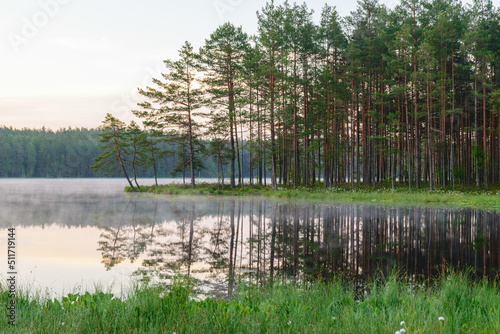 happy summer morning landscape by the lake  tree reflections in calm water  light fog on the water surface