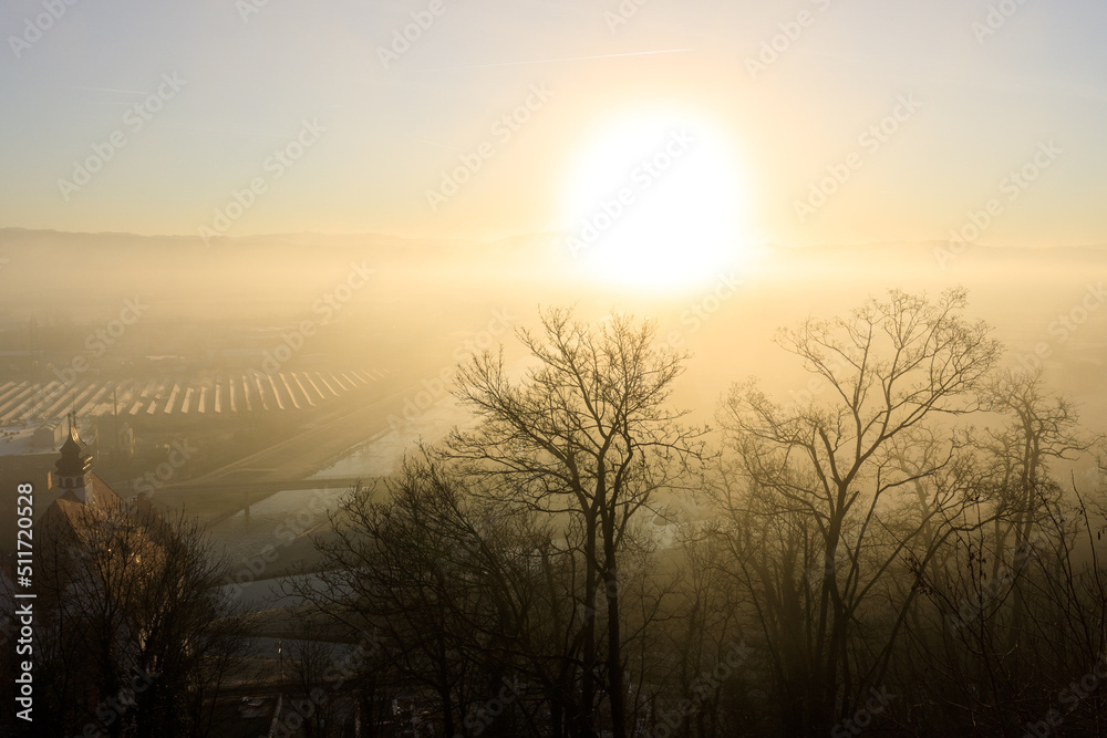 Fototapeta premium Blick in die Rheinebene vom Ort Riegel am Kaiserstuhl, Zusammenfluss von Elz und Dreisam mit Morgennebel im Winter