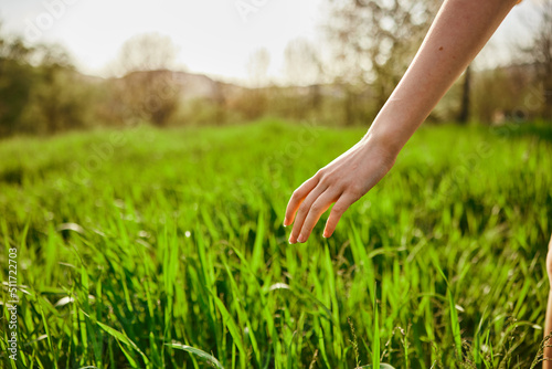Woman, hand, nature, grass, field, sunset, sun.