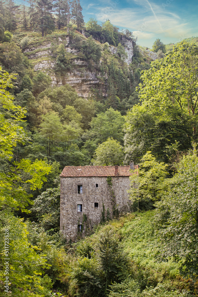 Obraz premium Old abandoned house in the foliage of the forests of Cantabria. Spain