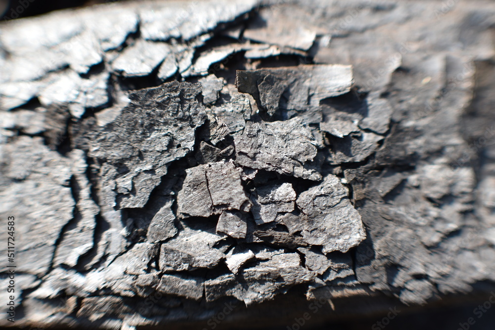 Fototapeta premium Coal up close