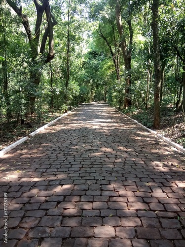 Картината върху платно Parque do Ingá - Ingá Park - Maringá - Brazil