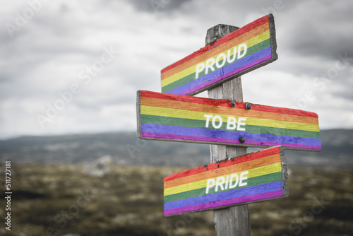 proud to be pride text quote on wooden signpost crossroad outdoors in nature. Freedom and lgbtq community concept.