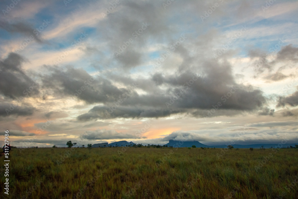 I walk in the savannah of Canaima. national park. Land of Tepuis I walk in the savannah of Canaima. national park. Land of Tepuis