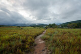 I walk in the savannah of Canaima. national park. Land of Tepuis