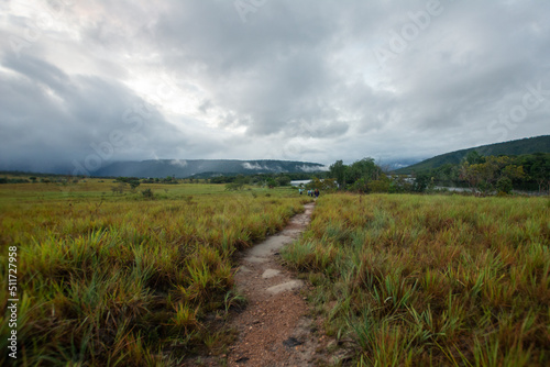 I walk in the savannah of Canaima. national park. Land of Tepuis