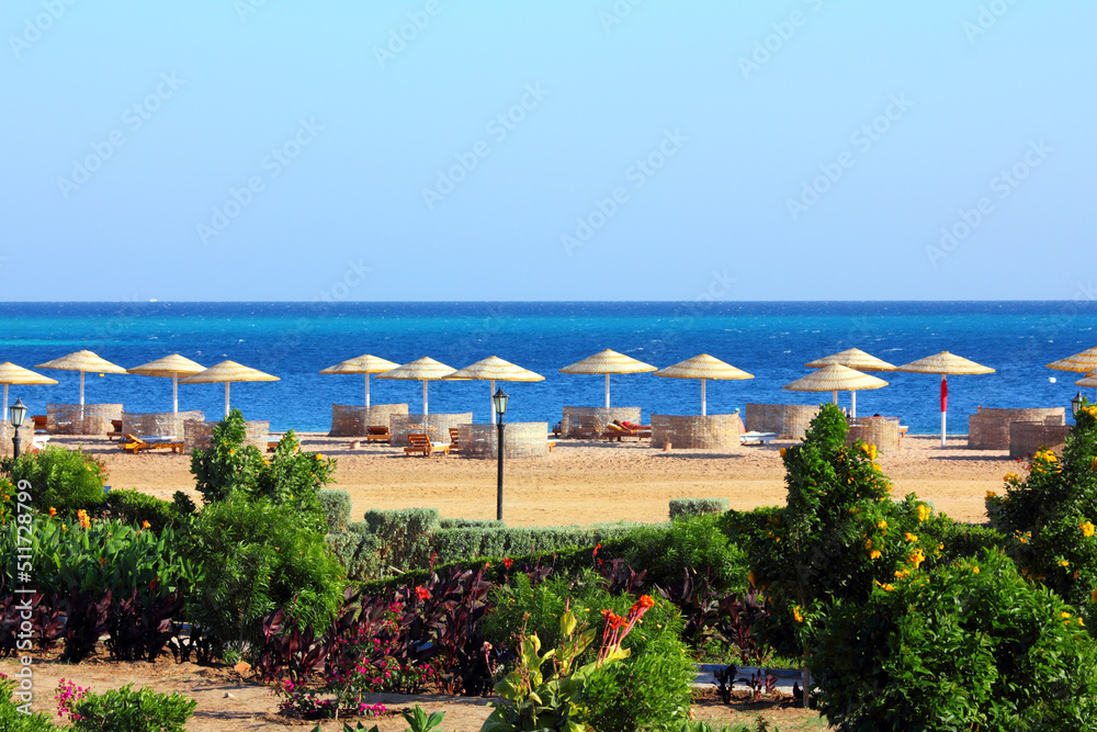 Fototapeta premium tropical beach and Red Sea